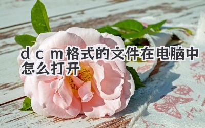 dcm格式的文件在電腦中怎么打開