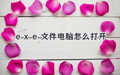 exe文件電腦怎么打開