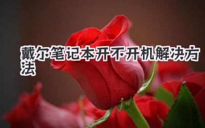 戴爾筆記本開不開機解決方法