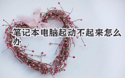 筆記本電腦起動(dòng)不起來(lái)怎么辦
