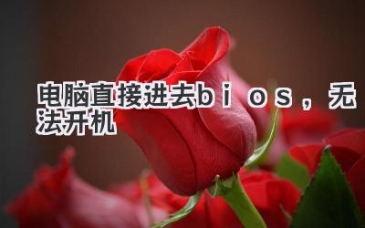 電腦直接進去bios,無法開機