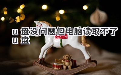 u盤沒問題但電腦讀取不了u盤