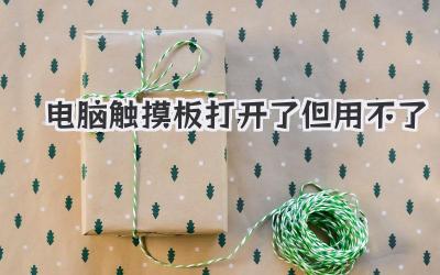 電腦觸摸板打開了但用不了