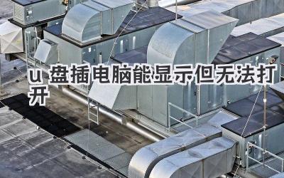 u盤插電腦能顯示但無法打開