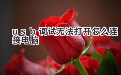 usb調(diào)試無法打開怎么連接電腦