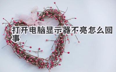 打開電腦顯示器不亮怎么回事
