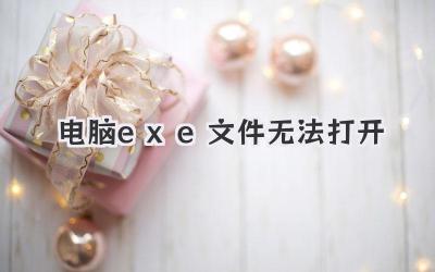 電腦exe文件無法打開