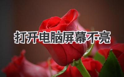 打開電腦屏幕不亮