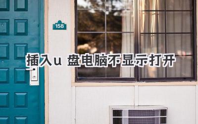 插入u盤電腦不顯示打開