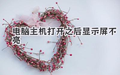 電腦主機打開之后顯示屏不亮