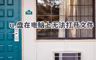u盤在電腦上無法打開文件
