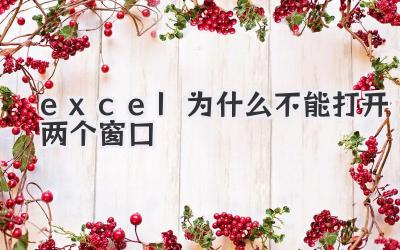 excel為什么不能打開兩個窗口