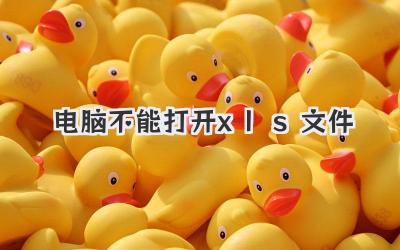 電腦不能打開xls文件