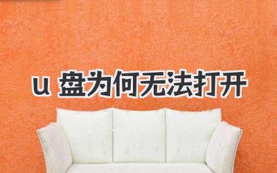 u盤為何無法打開