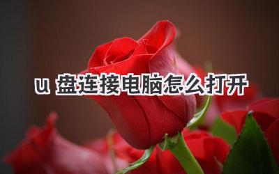 u盤連接電腦怎么打開