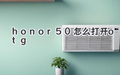 honor50怎么打開otg