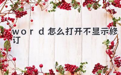 word怎么打開不顯示修訂
