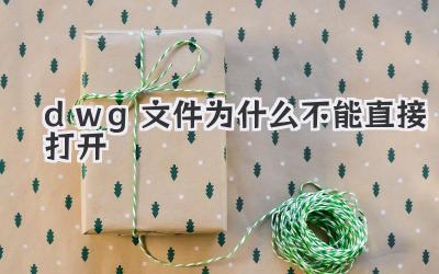 dwg文件為什么不能直接打開