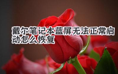 戴爾筆記本藍屏無法正常啟動怎么恢復