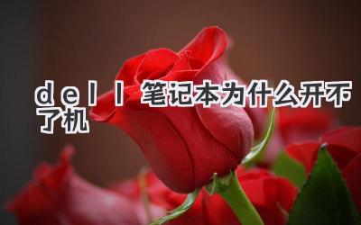 dell筆記本為什么開不了機(jī)