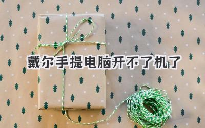 戴爾手提電腦開(kāi)不了機(jī)了
