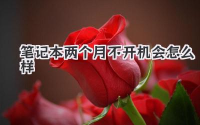 筆記本兩個月不開機會怎么樣