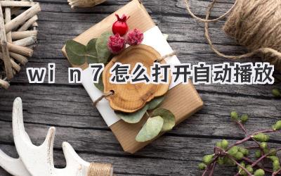 win7怎么打開自動(dòng)播放