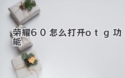 榮耀60怎么打開otg功能