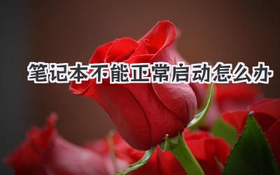 筆記本不能正常啟動(dòng)怎么辦