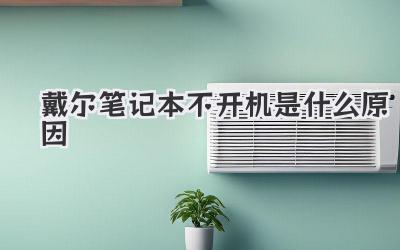 戴爾筆記本不開機是什么原因