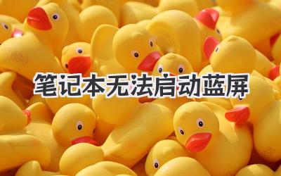 筆記本無法啟動藍屏