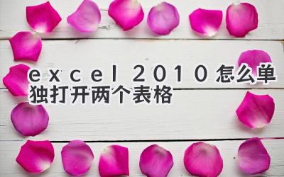 excel 2010怎么單獨打開兩個表格