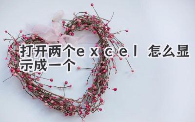 打開兩個excel怎么顯示成一個