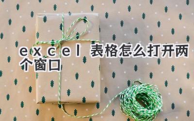 excel表格怎么打開兩個窗口