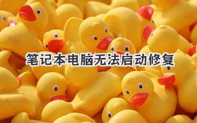 筆記本電腦無法啟動修復