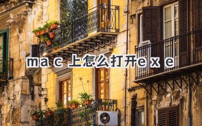 mac上怎么打開exe