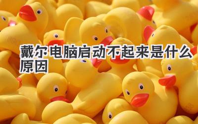 戴爾電腦啟動(dòng)不起來是什么原因