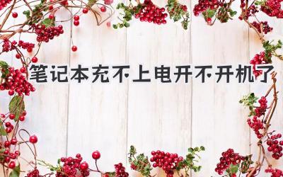 筆記本充不上電開不開機(jī)了