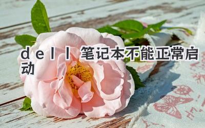 dell筆記本不能正常啟動