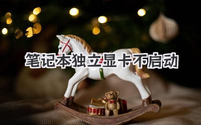 筆記本獨(dú)立顯卡不啟動(dòng)