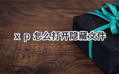 xp怎么打開隱藏文件