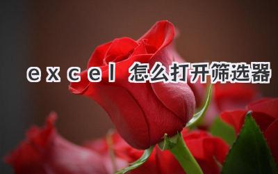 excel怎么打開篩選器