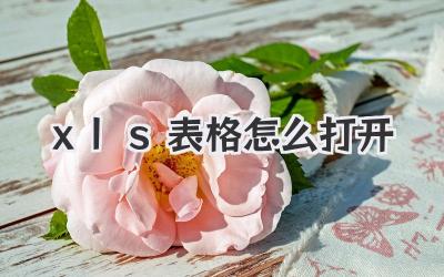 xls表格怎么打開