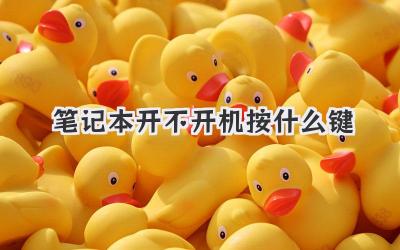 筆記本開不開機(jī)按什么鍵