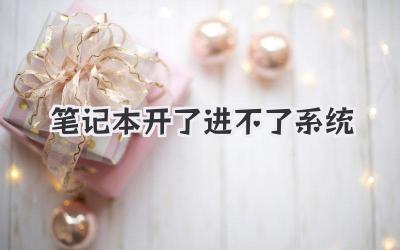 筆記本開了進不了系統
