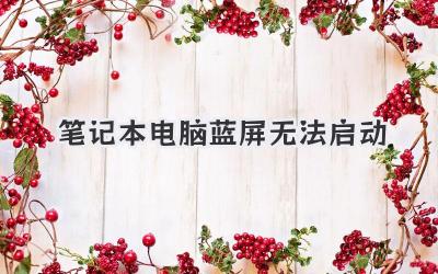 筆記本電腦藍(lán)屏無(wú)法啟動(dòng)