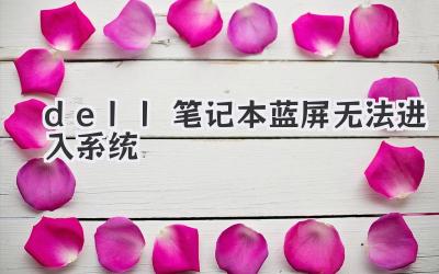dell筆記本藍屏無法進入系統