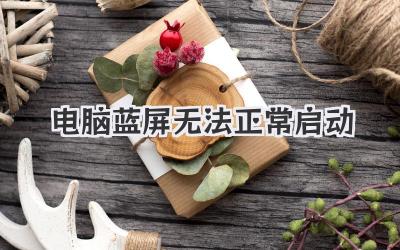 電腦藍(lán)屏無法正常啟動