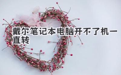 戴爾筆記本電腦開不了機一直轉(zhuǎn)