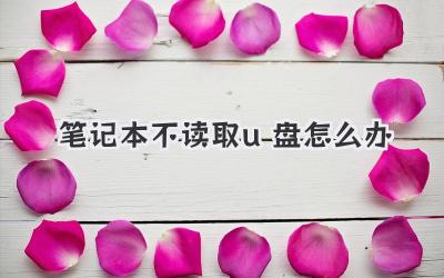 筆記本不讀取u盤怎么辦